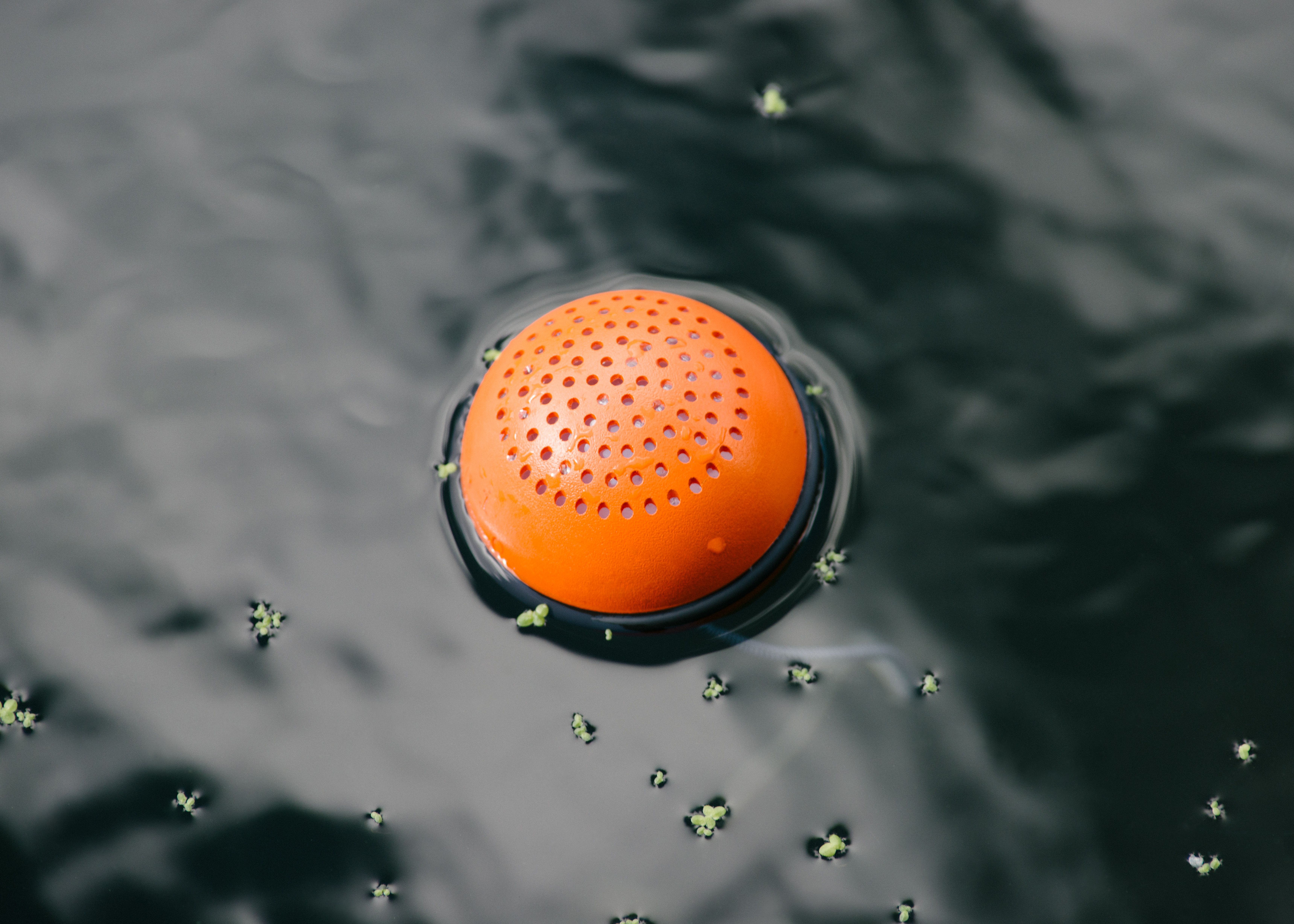 buoy